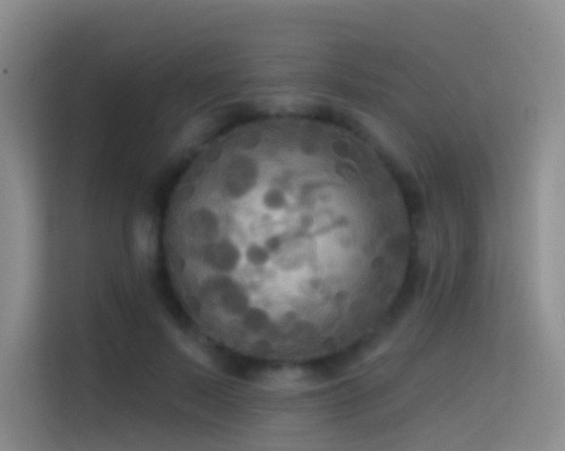 X0000114670695200910211150