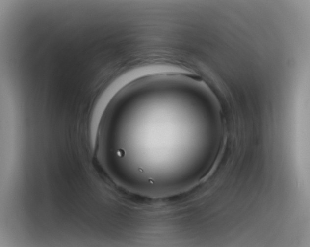 X0000114670696200910211150