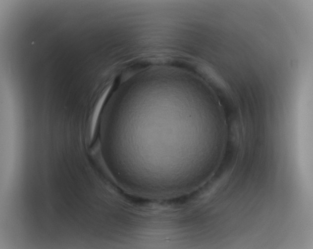 X0000114670697200910211150