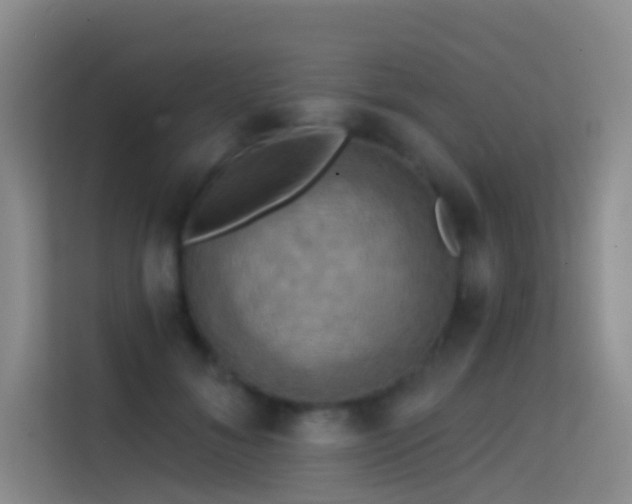 X0000114670700200910211150