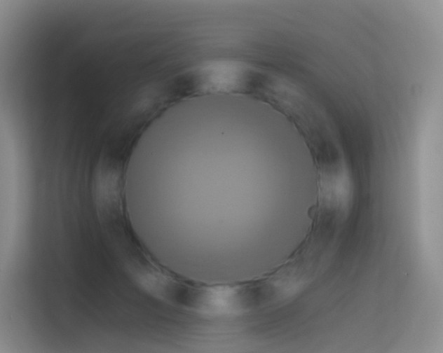 X0000114670701200910211150