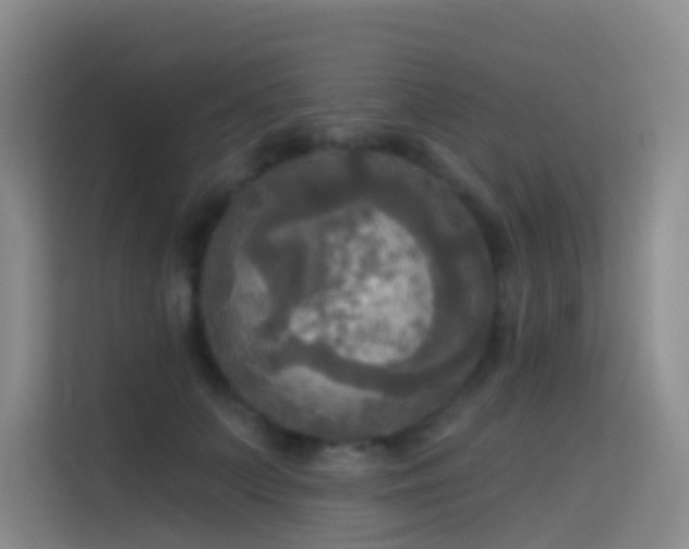 X0000114670703200910211150