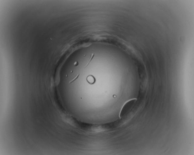 X0000114670704200910211150