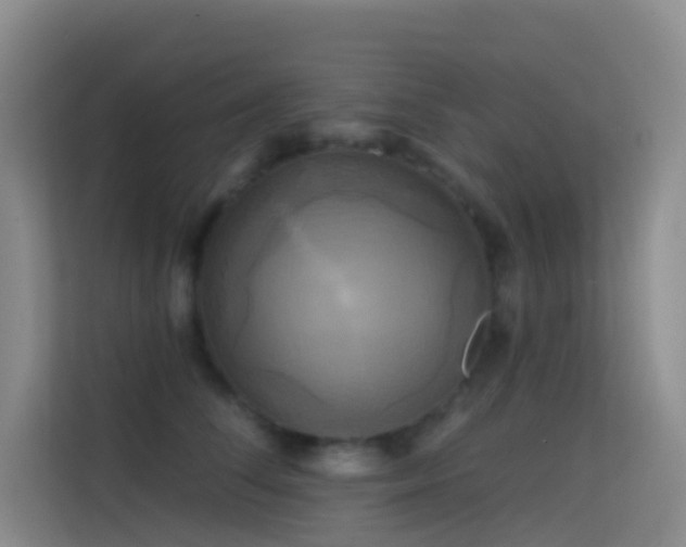 X0000114670708200910211150