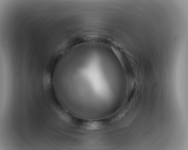 X0000114670711200910211150