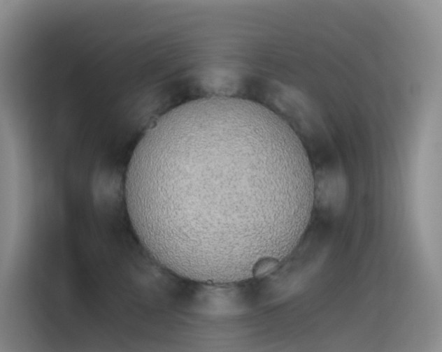 X0000114670713200910211150