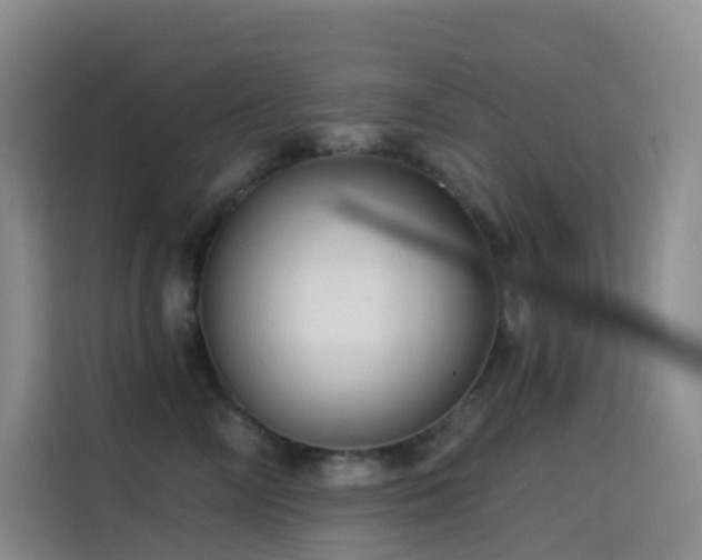 X0000114670714200910211150