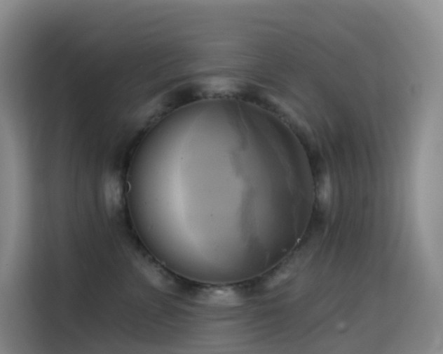 X0000114670715200910211150