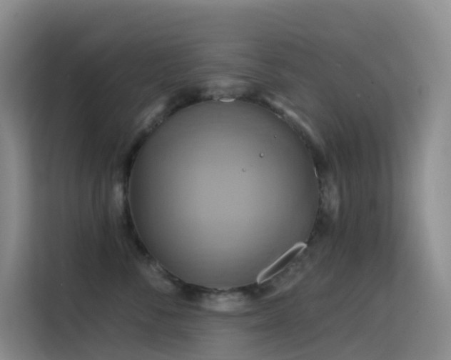 X0000114670716200910211150