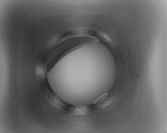 X0000114670720200910211150