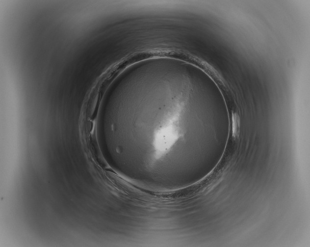 X0000114670723200910211149