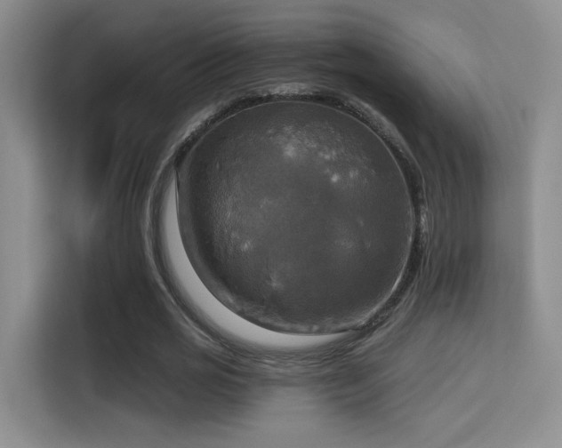X0000114670725200910211149