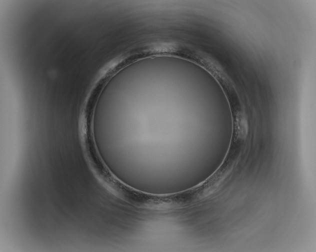 X0000114670726200910211150