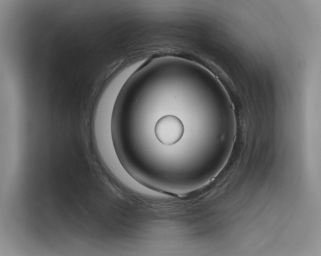 X0000114670729200910211150