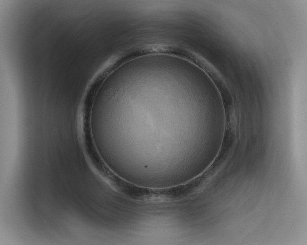 X0000114670730200910211150