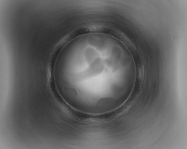 X0000114670733200910211150