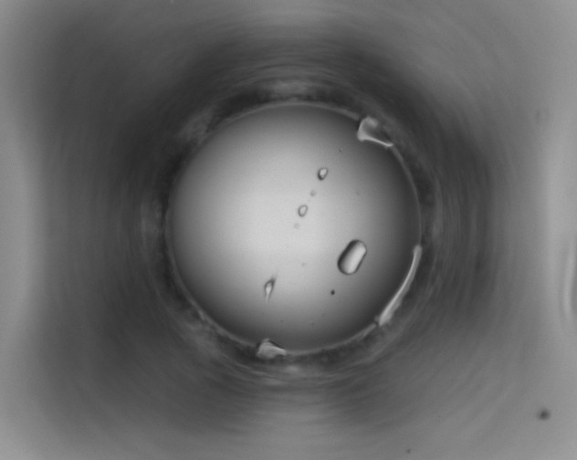 X0000114670737200910211150