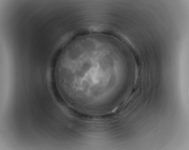 X0000114670738200910211150