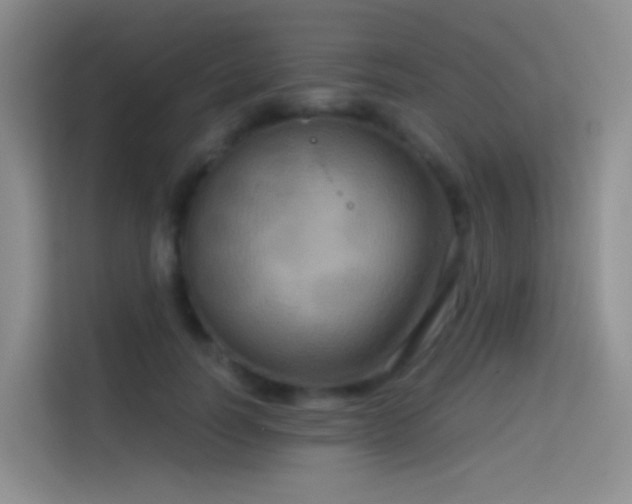 X0000114670746200910211150