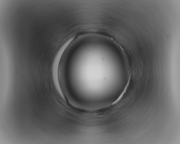 X0000114670747200910211150