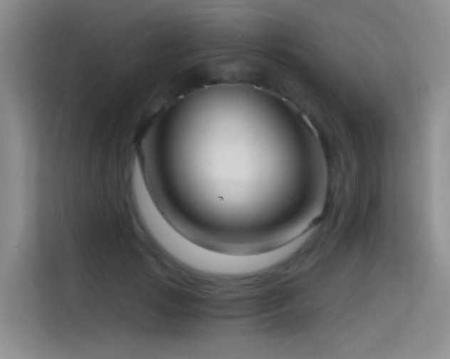 X0000114670749200910211150