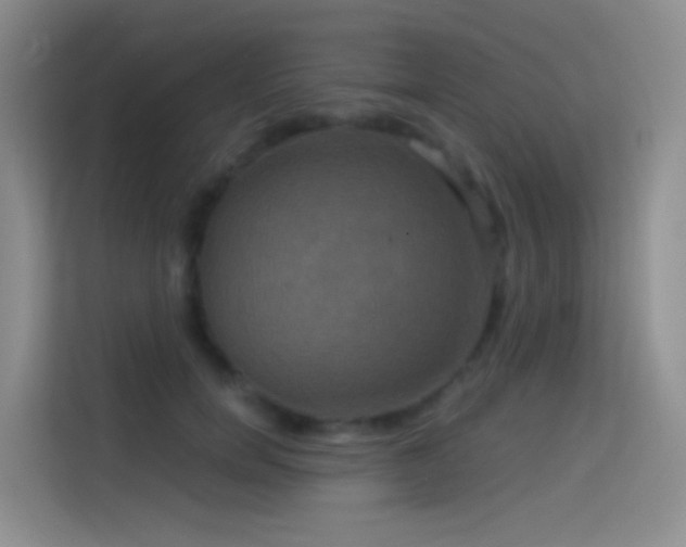 X0000114670750200910211150