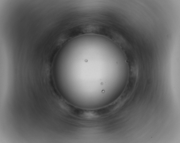 X0000114670753200910211150