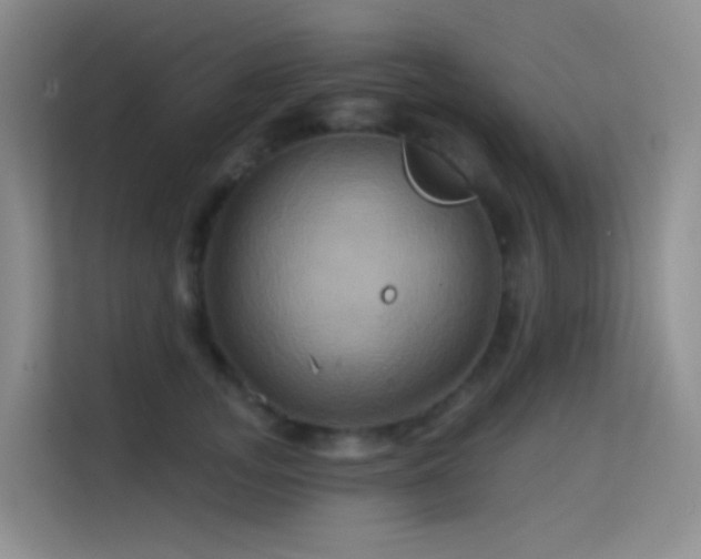 X0000114670755200910211150