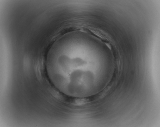 X0000114670757200910211150