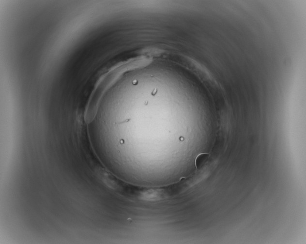 X0000114670761200910211150