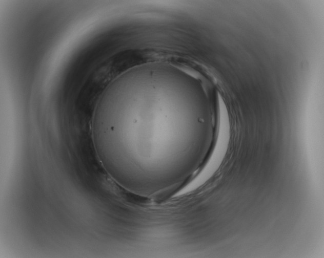 X0000114670762200910211150