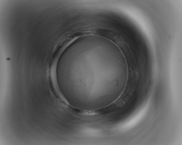 X0000114670767200910211150