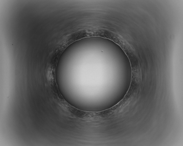 X0000114670770200910211149