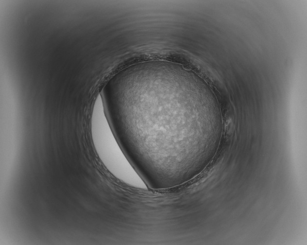 X0000114670772200910211149