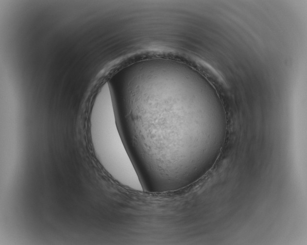 X0000114670776200910211149