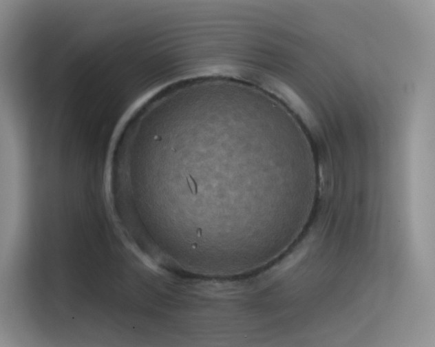 X0000114670780200910211149