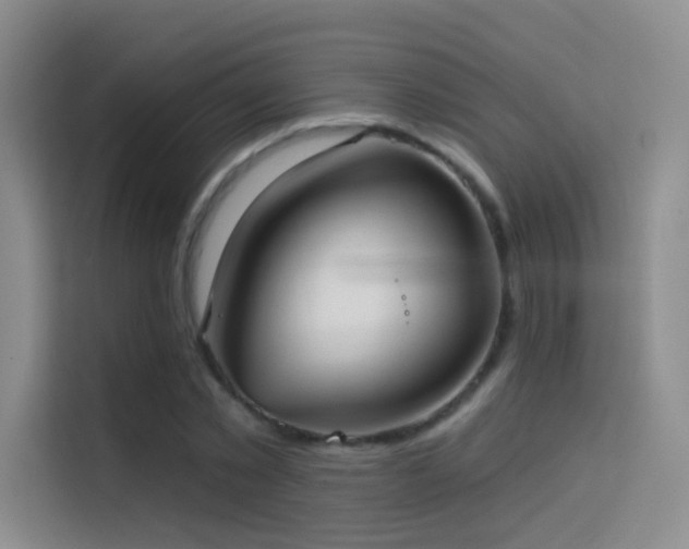 X0000114670781200910211149