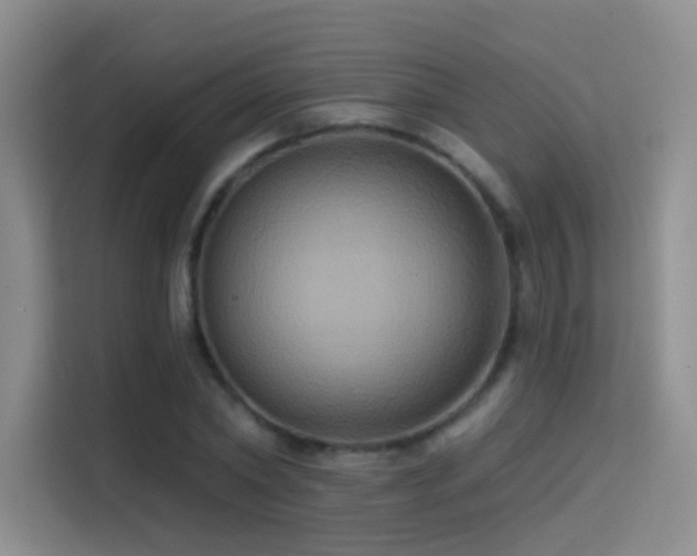 X0000114670782200910211149