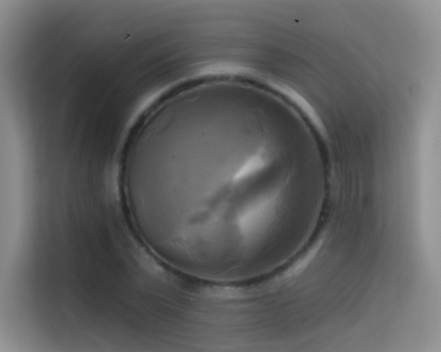 X0000114670783200910211149