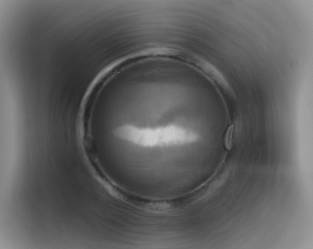 X0000114670784200910211149