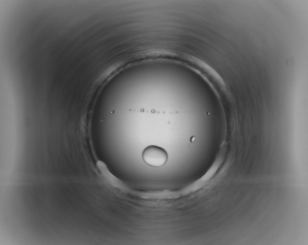 X0000114670785200910211149