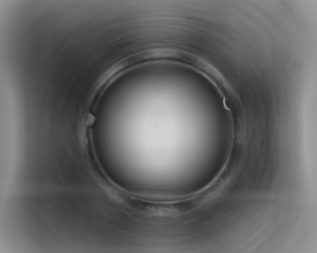 X0000114670786200910211149