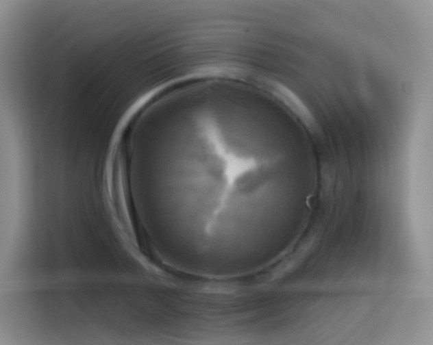 X0000114670788200910211149