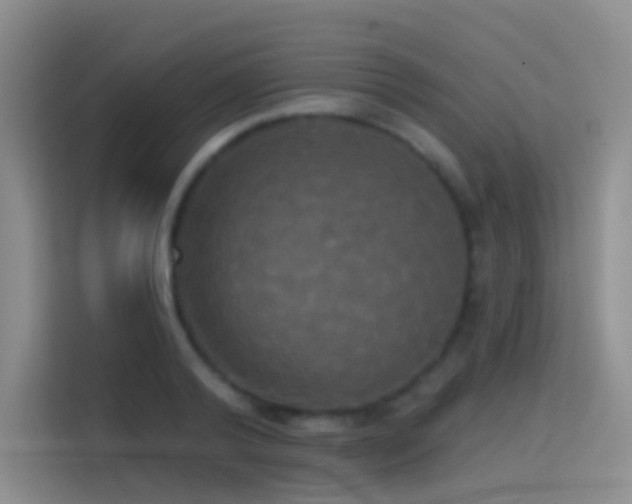 X0000114670792200910211149