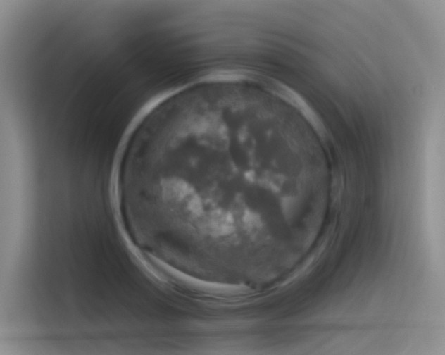 X0000114670795200910211149