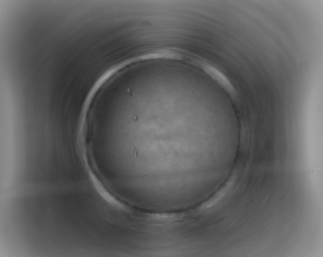 X0000114670800200910211149