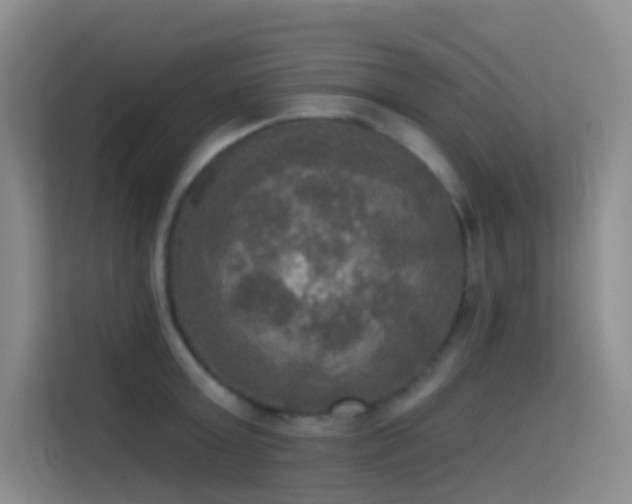 X0000114670803200910211149