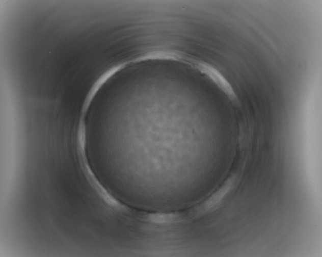 X0000114670804200910211149