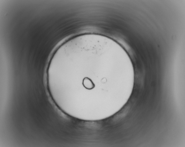 X0000114670807200910211149