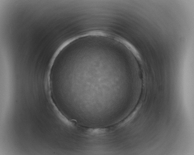 X0000114670808200910211149